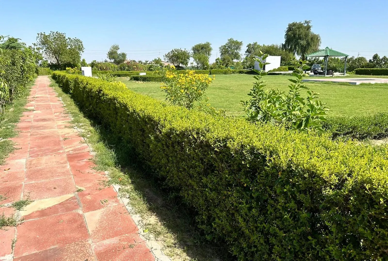 Laxmi Nursery Jaunti Delhi  Delhi (National Capital Territory of India)